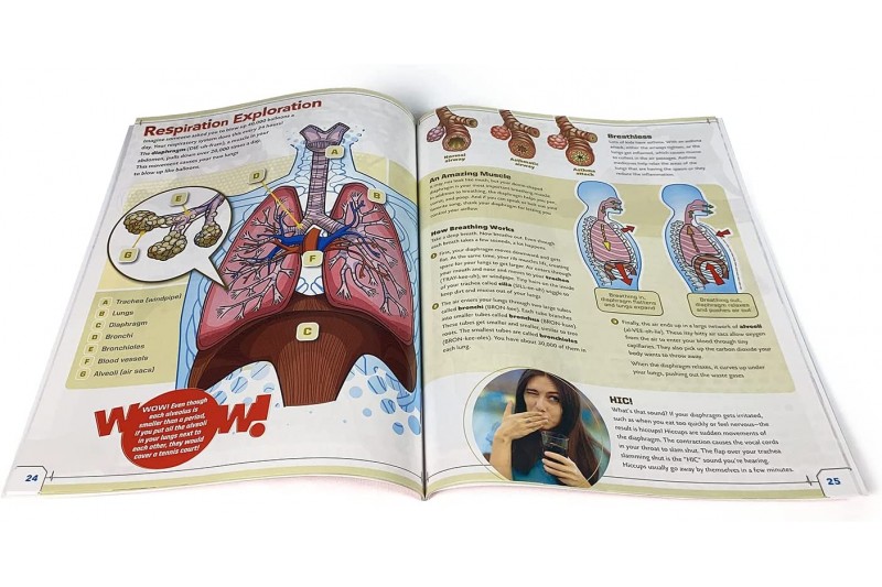 Ultimate Squishy Human Body Lab with SmartScan Technology