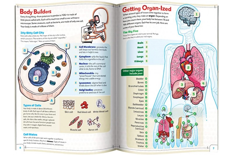 Ultimate Squishy Human Body Lab with SmartScan Technology