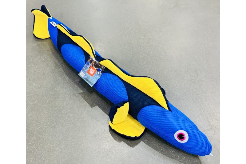 Big Joe Pool Petz Zzoodle Blue Tang Fish Float Kids Pool Noodle